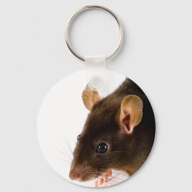 Porte-clés Brown Rat (Recto)