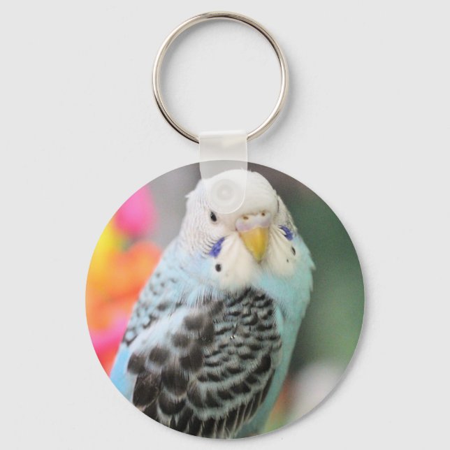 Porte-clés Budgie (Recto)