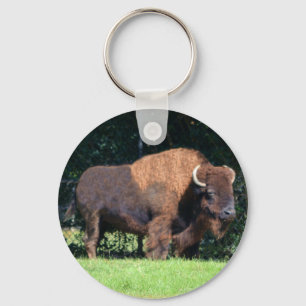 Porte-clés Buffalo (Bison) Kansas, Oklahoma, Wyoming