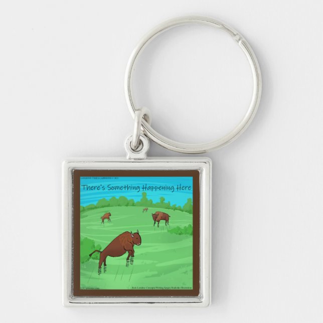 Porte-clés Buffalo Springfield drôle Pour ce qu'il vaut  (Devant)