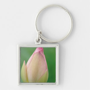 Porte-clés Bulbe de nénuphar non ouvert, Jardin botanique de