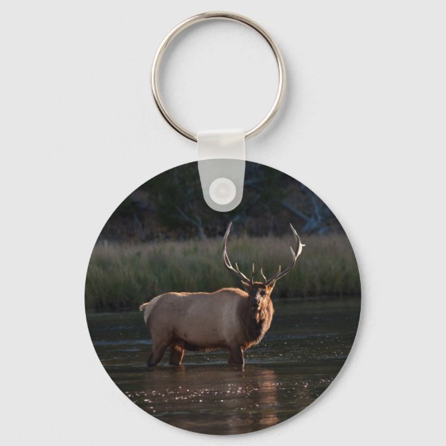 Porte-clés Bull Elk (Recto)