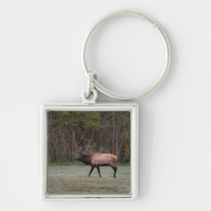 Porte-clés Bull Elk Morning Walk
