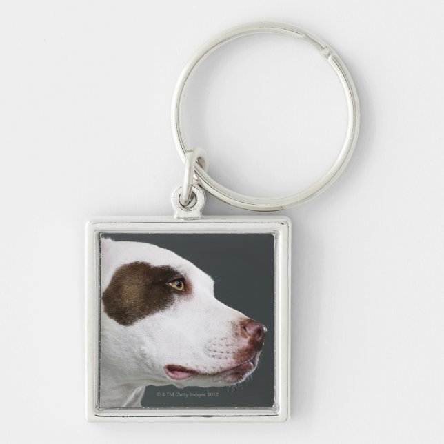 Porte-clés Bull-terrier du Staffordshire, plan rapproché (Devant)
