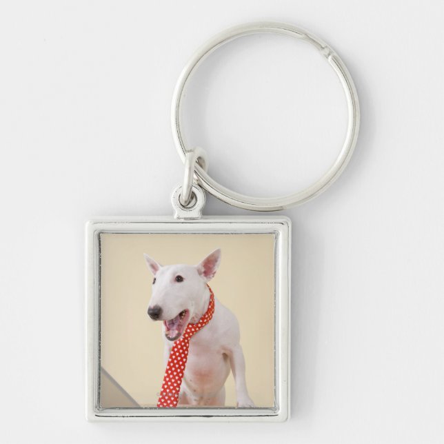 Porte-clés Bull-terrier miniature regardant l'ordinateur (Devant)