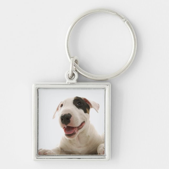 Porte-clés Bulls-terrier (Devant)