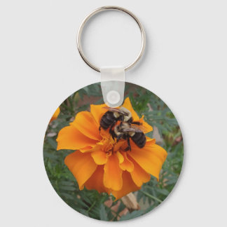 Porte-clés Bumblebebees sur Marigold Flower