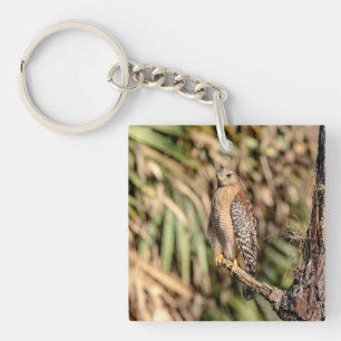 Porte-clés Buse à épaulettes rouge dans un arbre