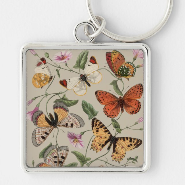 Porte-clés Butterfly Moth Nature Drawing antique watercolor (Devant)