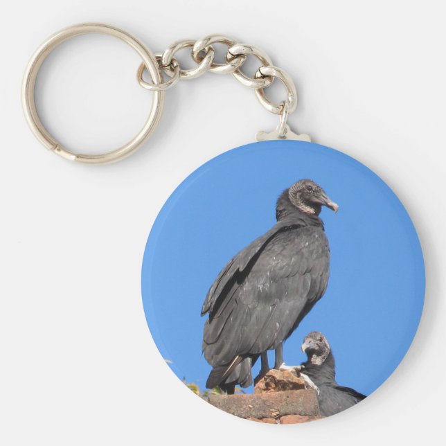 Porte-clés Buzzards Looking At You Key Rings (Devant)