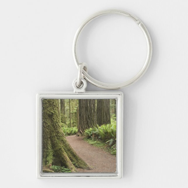 Porte-clés CA, Jedediah Smith State Park, Simpson-Reed (Devant)