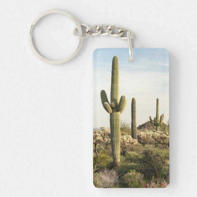 Porte-clés Cactus de Saguaro, Arizona, Etats-Unis (Devant)
