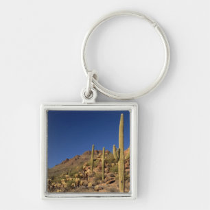 Porte-clés Cactus de Saguaro et montagnes de Tucson, Tucson