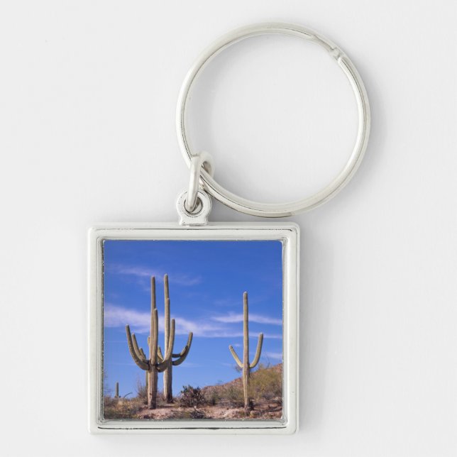 Porte-clés Cactus saguaro géant multi-bras, Saguaro (Devant)