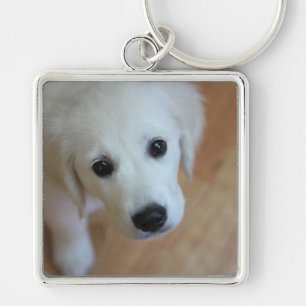 Porte-clés Cadeau pour amoureux des animaux