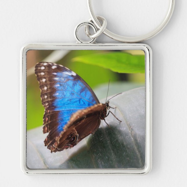 Porte-clés Cadeaux de destin (Devant)