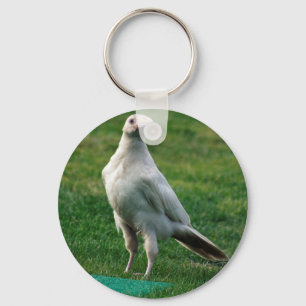Porte-clés Cadeaux Rare White Raven