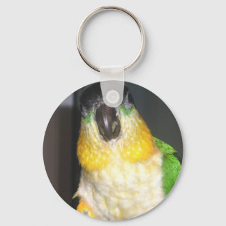 Porte-clés Caique