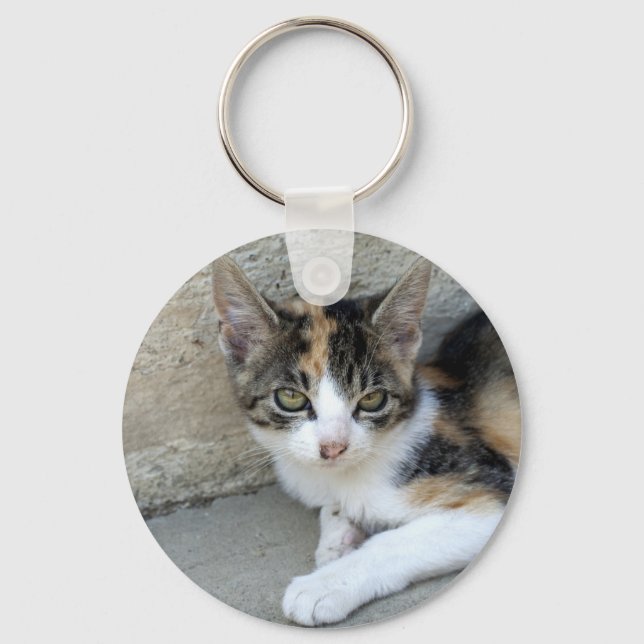 Porte-clés Calico Kitten (Recto)