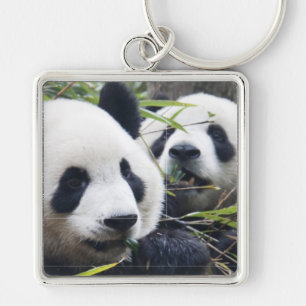 Porte-clés Câlins d'ours Panda