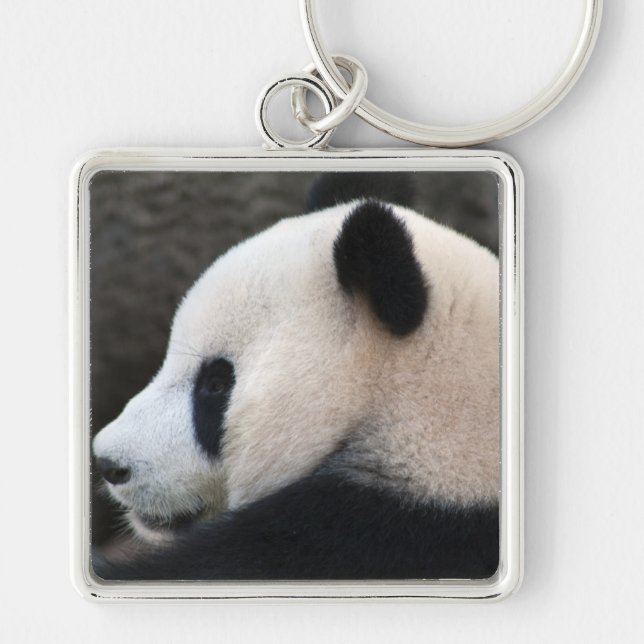 Porte-clés Câlins d'ours Panda (Devant)