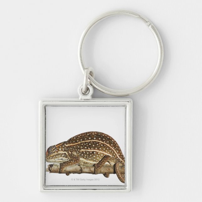 Porte-clés Caméléon orné de bijoux, le caméléon de Campan (Devant)