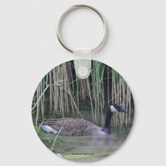 Porte-clés Canada Goose Nature Photo Porte - clé Clavier