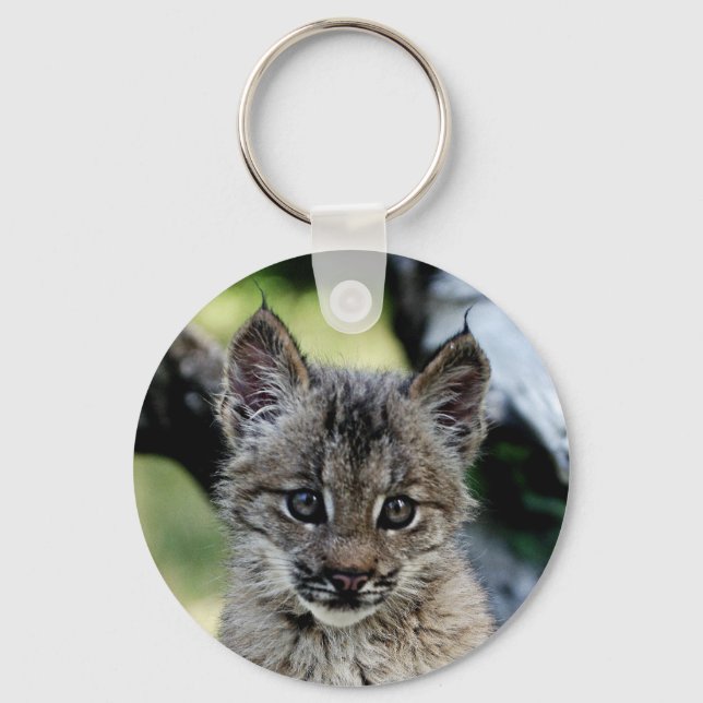 Porte-clés Canadian Lynx Kitten (Recto)