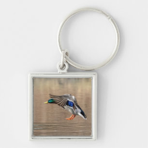 Porte-clés Canard Mallard en vol