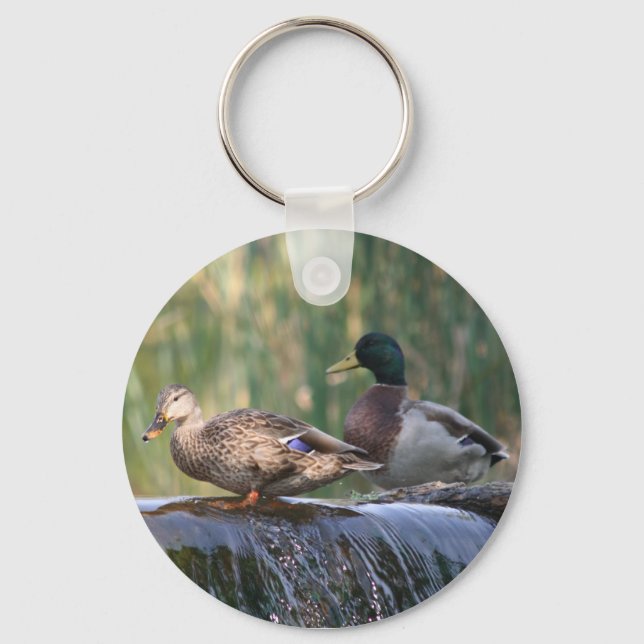 Porte-clés canards aux chutes (Recto)