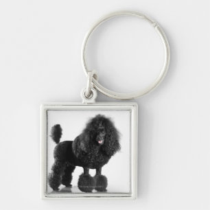 Porte-clés Caniche noir équilibré