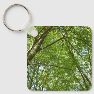 Porte-clés Canopée du printemps Feuille Green Nature Scene