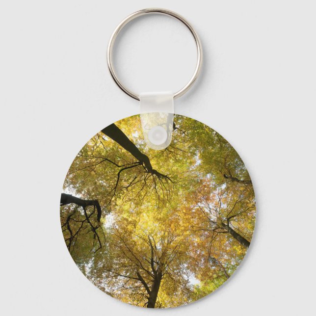 Porte-clés Canopée verdoyante (Recto)
