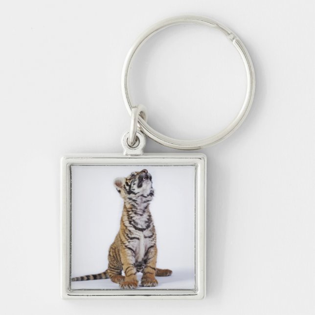 Porte-clés Captif, Afrique du Sud 2 (Devant)