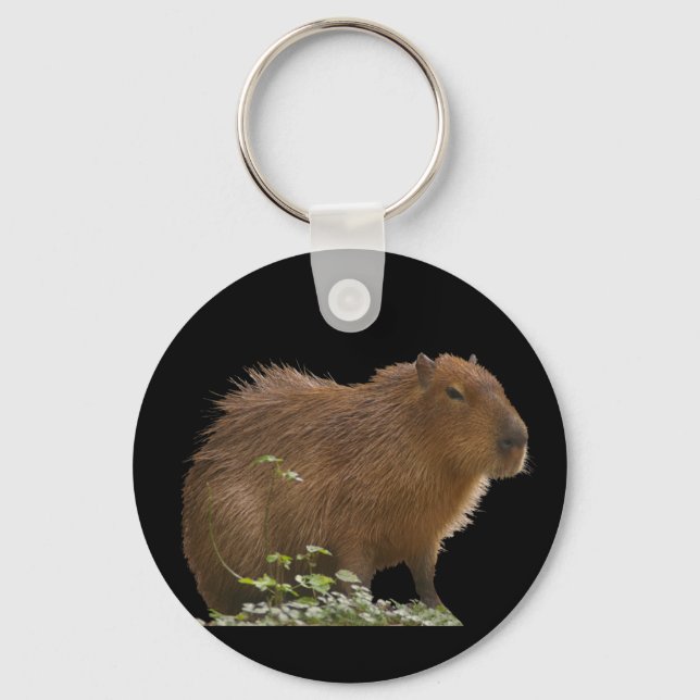 Porte-clés Capybara (Recto)