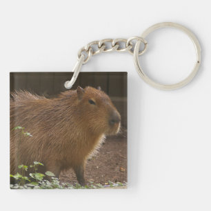 Porte-clés Capybara