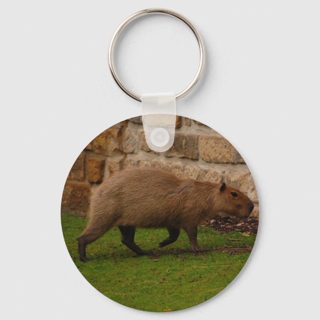 Porte-clés capybara (Recto)