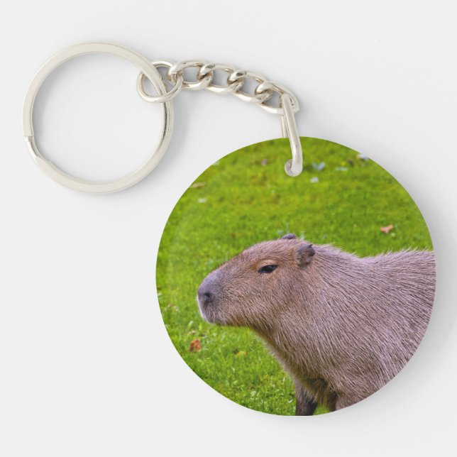 Porte-clés Capybara Animal Incroyable (Devant)
