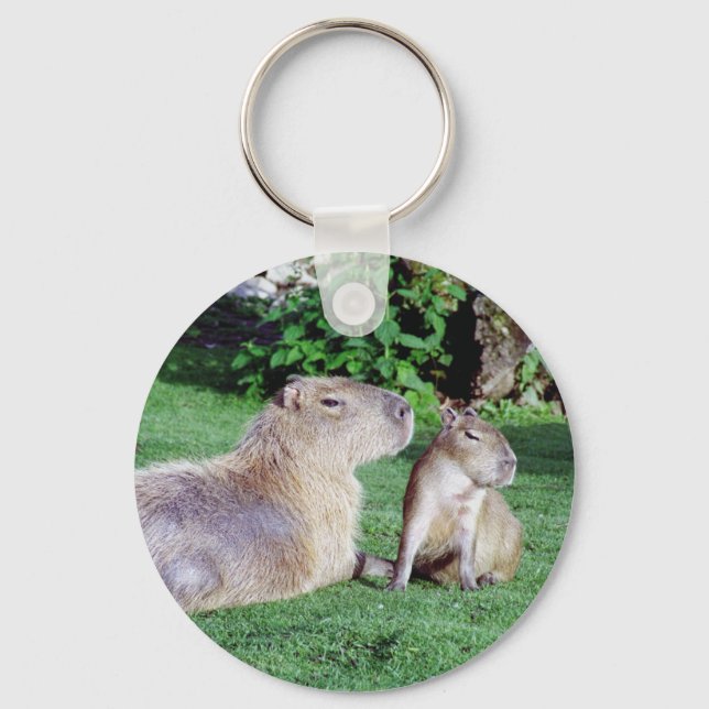 Porte-clés Capybara maman et Porte - clé du fils (Recto)
