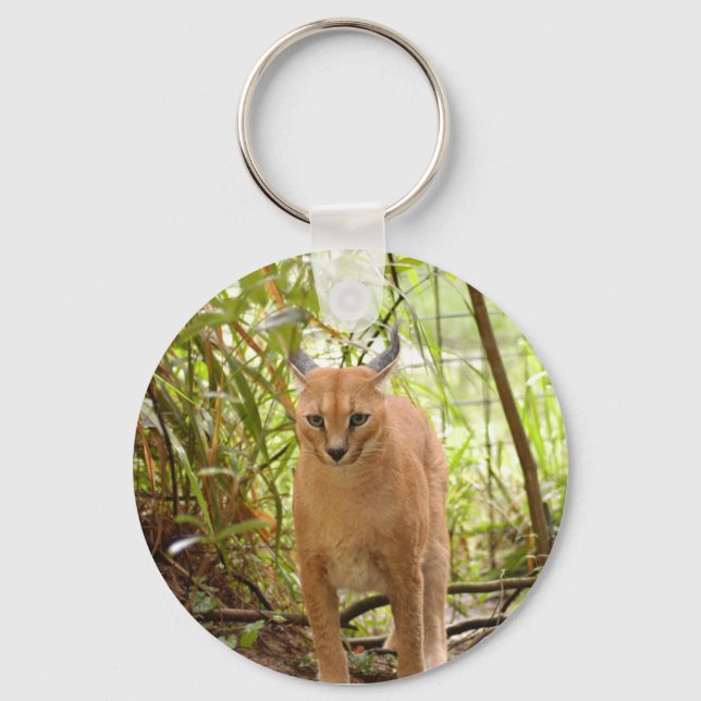 Porte-clés Caracal Lynx Keychain (Recto)