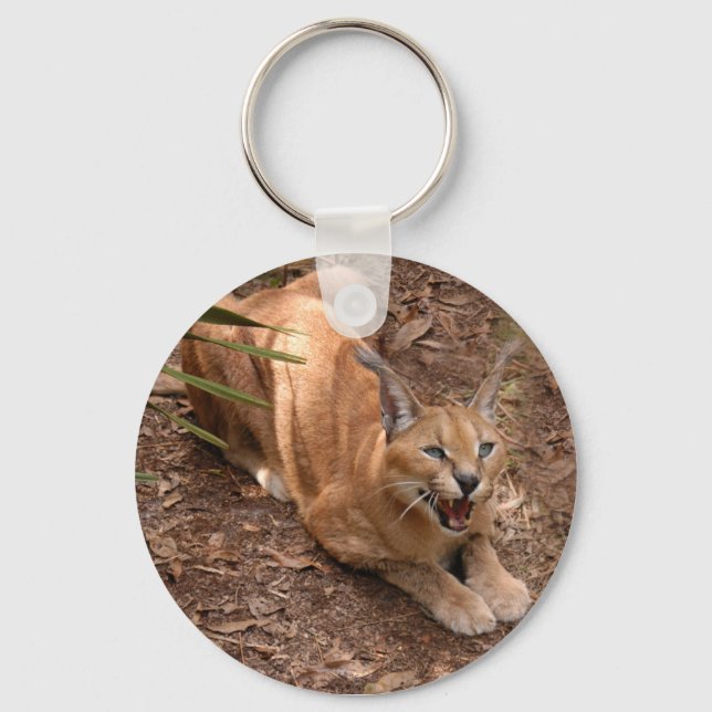 Porte-clés Caracal Lynx Keychain (Recto)