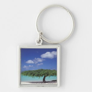 Porte-clés Caraïbes, Aruba. Plage Eagle