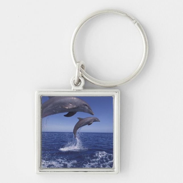 Porte-clés Caraïbes, dauphins à gros nez (Devant)