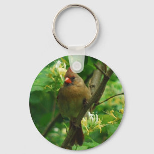 Porte-clés Cardinal dans le porte - clé de chèvrefeuilles