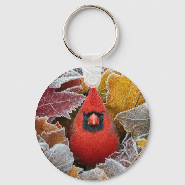 Porte-clés Cardinal rouge dans les feuilles d'automne gelées (Recto)