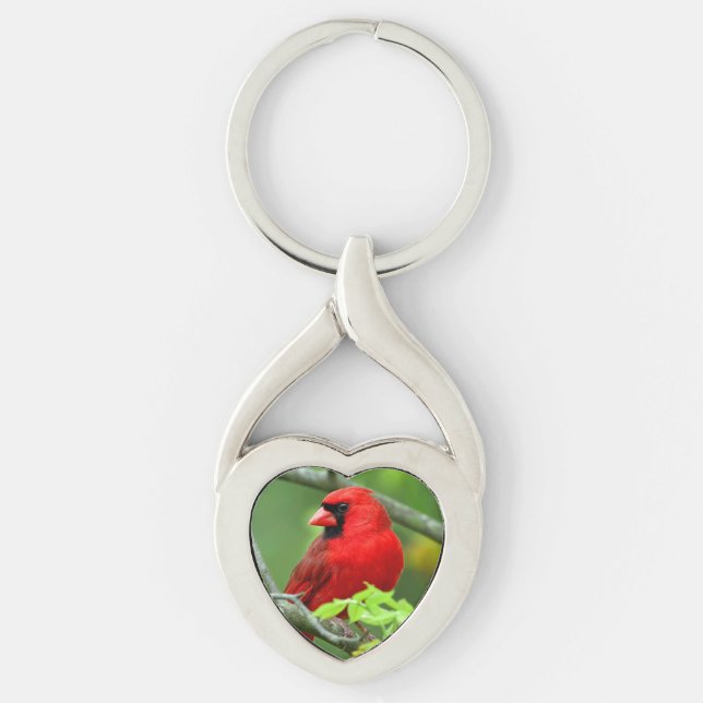 Porte-clés Cardinaux du nord (Devant)