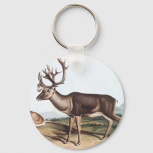 Porte-clés Caribou, Cerf de la Rein (Tarandus furcifer)