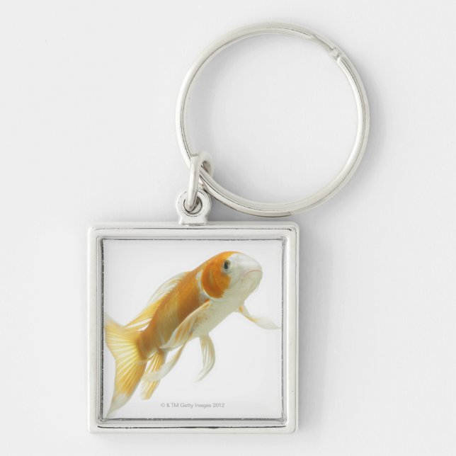 Porte-clés Carpe (Cyprinus carpio) (Devant)