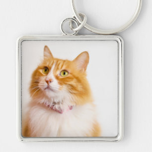 Porte-clés carré premium avec photo de chat mignon