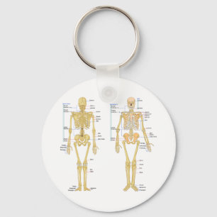 Porte-clés Carte d'anatomie marquée du squelette humain